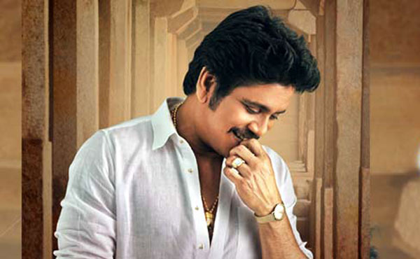 hero nagarjuna latest movie soggade chinni nayana,nagarjuna next movie bangarraju,bangarraju title registered with annapurna studios,kalyan krishna movie next movie in annapurna studio  బంగార్రాజు నాగార్జునకు అంతగా నచ్చాడా? 